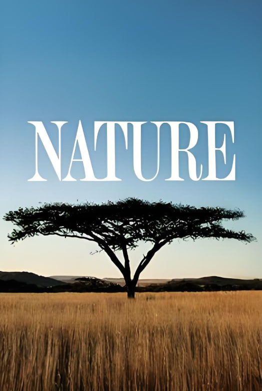 自然 第三十九季