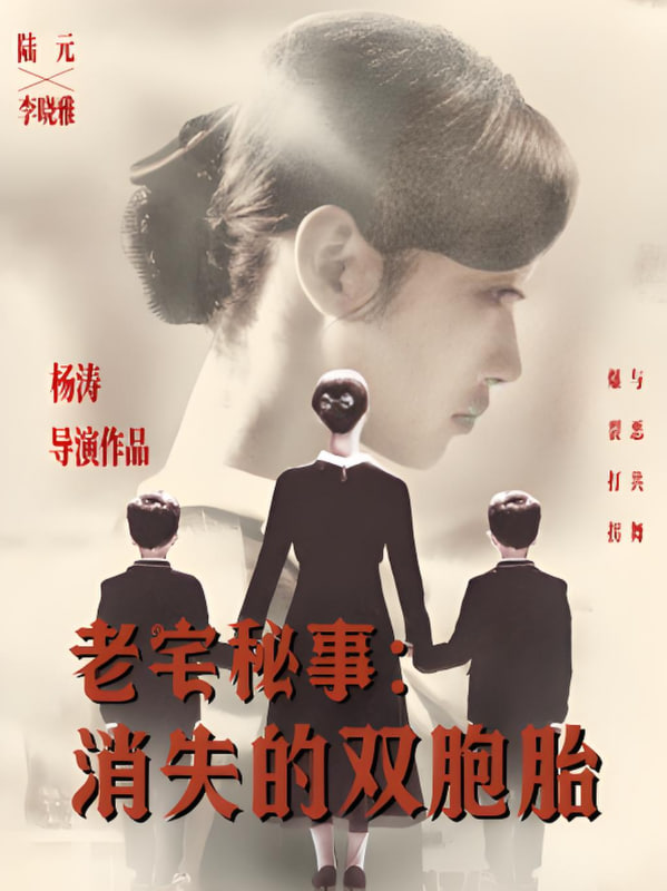 老宅秘事消失的双胞胎（消失的孩子）