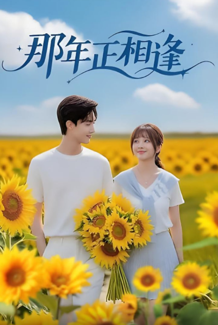 那年正相逢