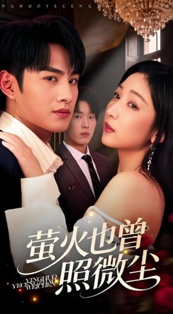 萤火也曾照微尘