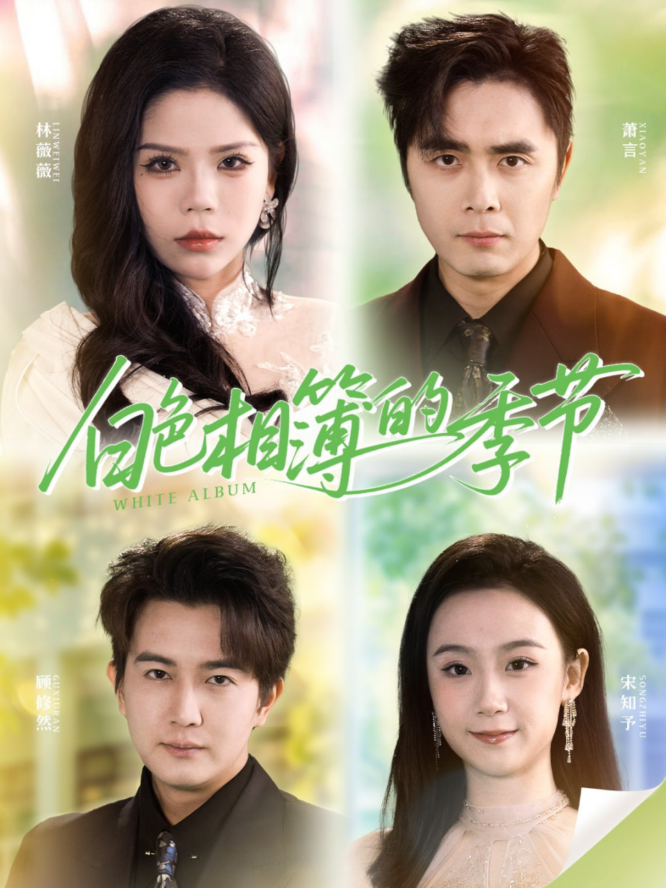 白色相簿的季节（我的深情喂了薄情）