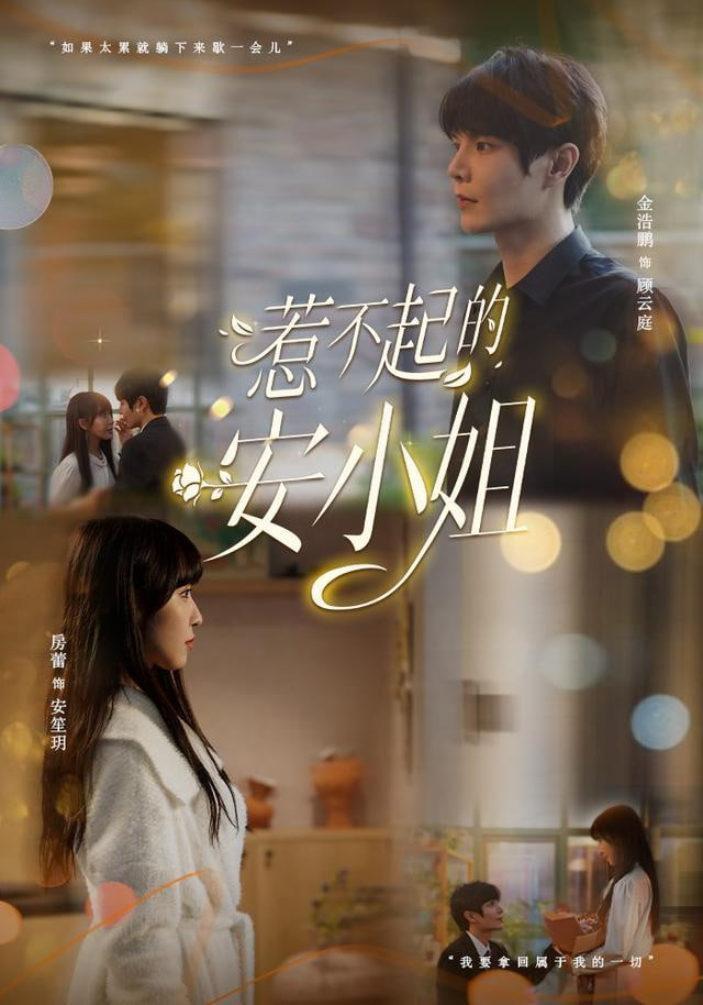 惹不起的安小姐
